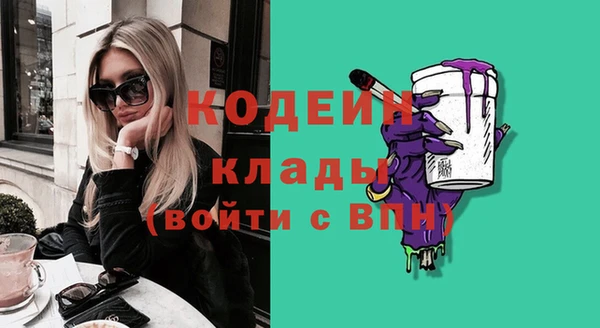 прущие грибы Абинск
