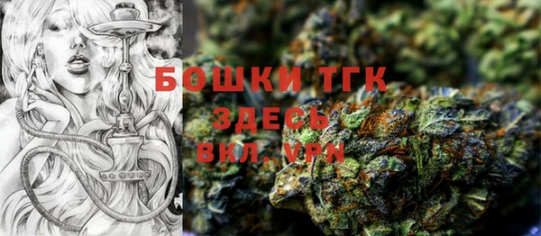прущие грибы Абинск