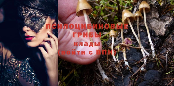 меф Приозерск