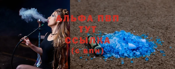 прущие грибы Абинск